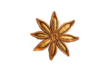 A close-up view of a star anise spice. its unique star-shaped structure with pointed tips and seed pods. set against a clean white background. ideal for culinary and botanical use