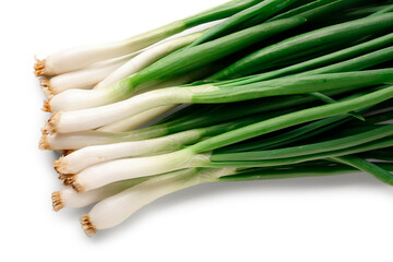Fresh green onion on white background