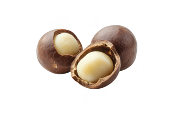 Close-up view of split macadamia nuts their creamy white kernels. with a clean white background emphasizing their natural texture and color. ideal for culinary or health-related content