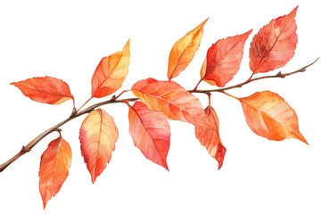 Naklejka premium A watercolor illustration of a branch adorned with autumn leaves in shades of red and orange. the beauty of fall foliage against a clean white background. ideal for seasonal decor or nature-themed pro