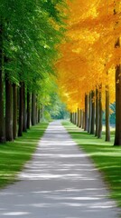 A long, straight pathway lined with trees. One side of the path features trees with vibrant green leaves, while the other side has trees with bright yellow foli