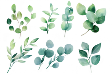 A collection of delicate watercolor illustrations featuring various green leaves and branches. their intricate shapes and textures against a clean white background. ideal for botanical designs (1)