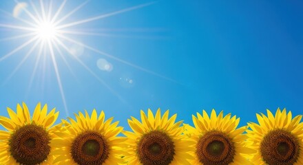 Bright summer day with a row of vibrant yellow sunflowers blooming against a clear, deep blue sky with a brilliant sun shining brightly and casting lens flare