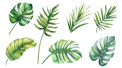 A collection of watercolor tropical leaves various shapes and shades of green. ideal for botanical illustrations. nature-themed designs. or eco-friendly projects