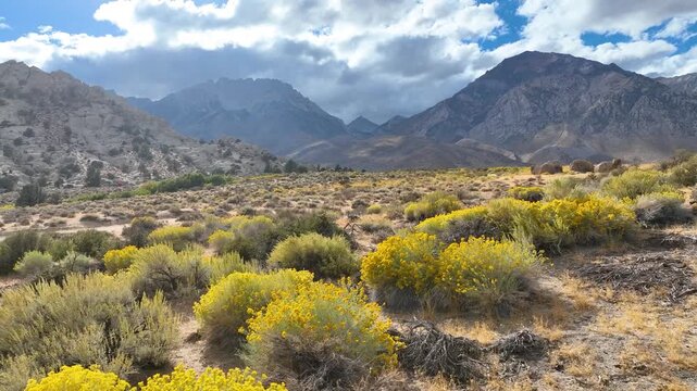 Aerial Buttermilk Boulders Bishop California Wildflowers and Sierra Nevada Fly Through