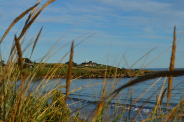 Obraz premium Tasmania_LowheadLighthouse_Ocean_Reeds_Sky_MHDesign