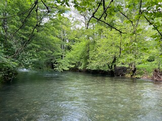 The Rjecina river (Italian; Eneo or Fiumara, German; Flaum or Pflaum), Croatia - Rijeka Rječina (Ričina ili Rečina), Hrvatska