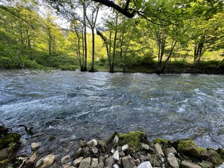 The Rjecina river (Italian; Eneo or Fiumara, German; Flaum or Pflaum), Croatia - Rijeka Rječina (Ričina ili Rečina), Hrvatska