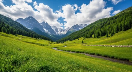 Fototapeta premium mountain landscape in summer