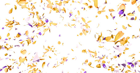 Flower petals flying here in the wind. Colorful several flowers. Isolated on alpha background. 3D rendering. © FlatFloatCreation