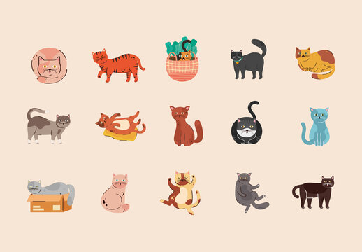 Colorful Cats Funny Animals Pets Feline Illustrations Set