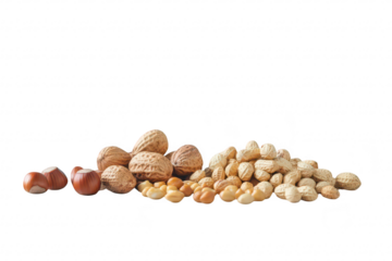 A arrangement of assorted nuts including peanuts. hazelnuts. and almonds on a soft blue background. their natural textures and colors. ideal for culinary or health-related content