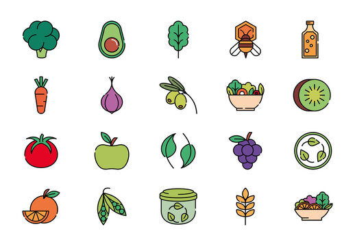 Colorful Vegetarian Vegan Organic Healthy Food Illustrations Set