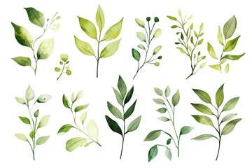 Fototapeta premium A collection of hand-painted green leaves various shapes and sizes. perfect for nature-themed designs. invitations. or backgrounds. set against a clean white backdrop