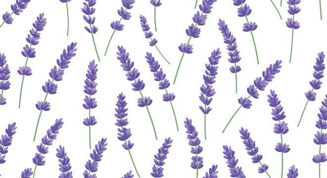 Minimalist Illustration Lavender Flowers Pattern White Background