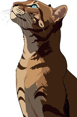 Pixel Art Brown Tabby Cat Looking Up With Blue Eyes