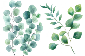 A collection of beautifully illustrated green leaves in various shapes and sizes. intricate details and soft colors. perfect for nature-themed designs or botanical projects