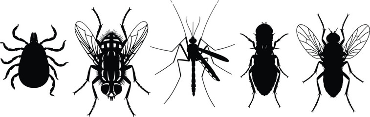 Black silhouette vector set of common parasitic and nuisance insects including tick, fly, and mosquito, representing pests, disease vectors, and entomology on white background.