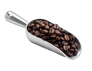 Dark Roasted Coffee Beans in Metal Scoop