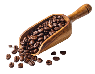 Dark Roasted Coffee Beans in Wooden Scoop