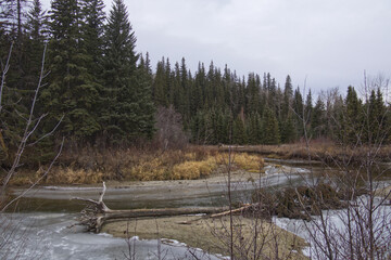 A Cloudy Autumn Day at Whitemud Park