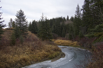 A Cloudy Autumn Day at Whitemud Park