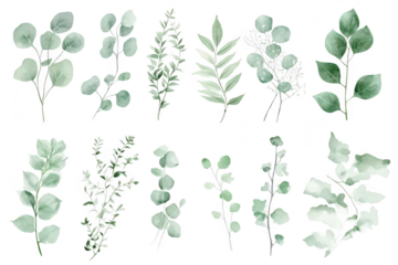 A collection of delicate green watercolor leaves arranged artistically. various shapes and sizes. perfect for nature-themed designs or botanical illustrations