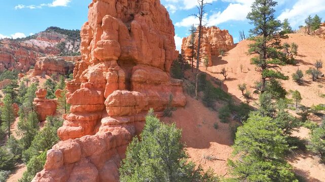 Aerial Red Rock Hoodoos and Pine Trees Fly Through Motion in Desert Canyon