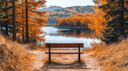 Autumnal lake view with wooden bench