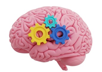 Pink brain with colorful gears working together isolated on white background
