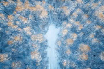 aerial view of snow-covered forest with central snowy clearing and ski tracks, treetops glowing with golden sunlight, serene winter solitude