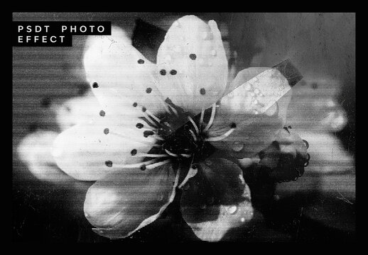 Black And White Distressed Grunge Print Photo Effect