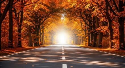 A long, straight road disappearing into a bright light at the end of an avenue lined with trees displaying vibrant orange and yellow autumn foliage, creating a tunnel effect