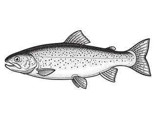 Trout Fish Monochrome Hand Drawn Illustration