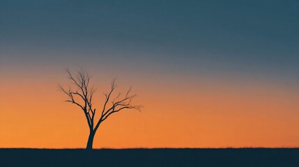 Spooky tree silhouette against twilight sky nature scene minimalist landscape twilight environment wide view
