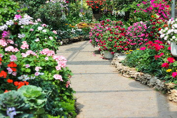 Concrete walkway in the middle multicolored colorful flowers garden natural background