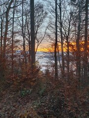 Fototapeta premium Hochnebel und Sonnenuntergang beim Uetliberg. Der Uetliberg ist der Hausberg von Zürich und ein beliebtes Naherholungsgebiet.
