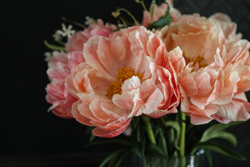Pink and peach peonies against black background