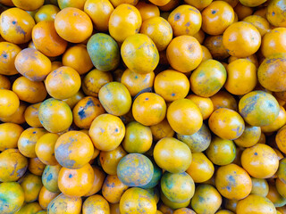 Pile of Fresh Yellow and Green Oranges