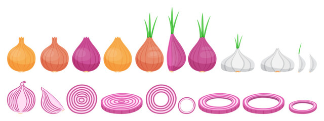 Fresh onion and garlic collection with different shape ripe onion garlic and onion slices round shape for cookbook and vegan food isolated