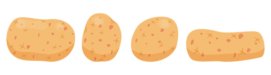 Fresh potato collocation with different shape and size isolated