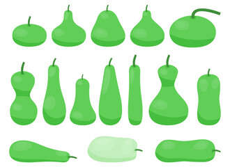 Fresh various type gourd collection with different color and shape bottle gourd for cookbook and vegan food