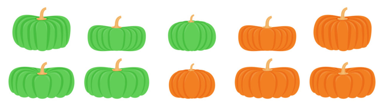 Fresh pumpkin collocation with different shape and size isolated