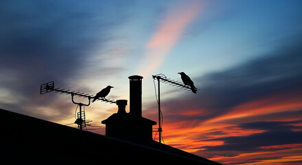 Two crows perched on antennas above a rooftop silhouetted against a vibrant sunset sky scene