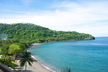 tropical beach with palm trees
