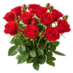 Fototapeta premium bouquet of red roses