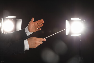 Hands of male conductor with baton on black background © Pixel-Shot