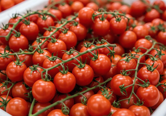 Tomates en Grappes Fraîches