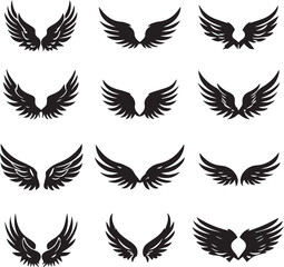 Black silhouette Wings set with long feather on white background