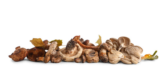 Different fresh mushrooms with autumn leaves on white background